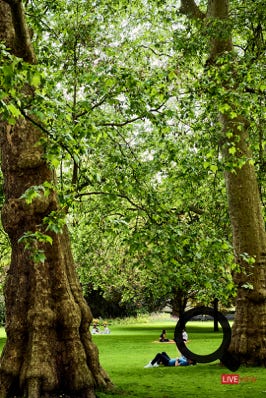 hyde park relax london life 